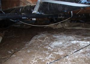 A musty, moldy, rotting dirt crawl space in Indianola that is in dire need of repairs