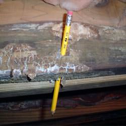 A floor joist with severe mold damage in 