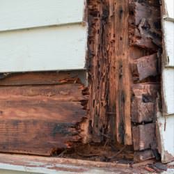 termite damaged wood in a  crawl space