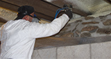 Spray Foam Insulation